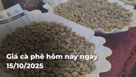 e372355850a1a950c33aafbe5033dfcfCWZCDh