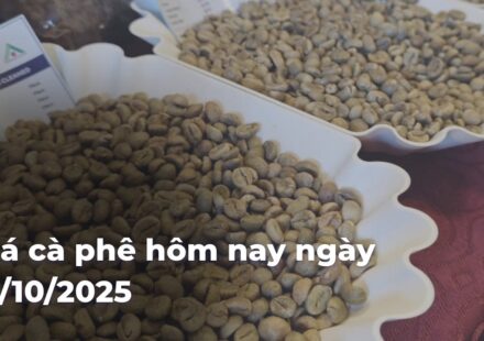 e372355850a1a950c33aafbe5033dfcfCWZCDh