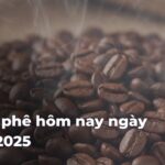 ff6b71c4d49c5823899541c21c76e062tb6pDI