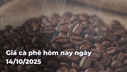 ff6b71c4d49c5823899541c21c76e062tb6pDI