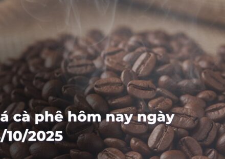 ff6b71c4d49c5823899541c21c76e062tb6pDI