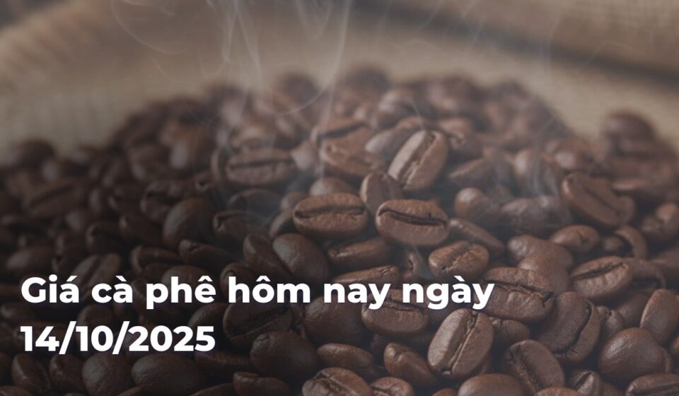 ff6b71c4d49c5823899541c21c76e062tb6pDI