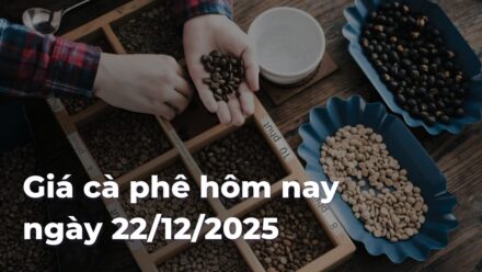 a27ea70a5b6e281eceeda3475046284fMHmw4w