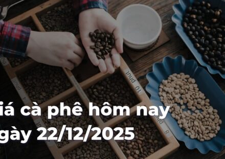 a27ea70a5b6e281eceeda3475046284fMHmw4w