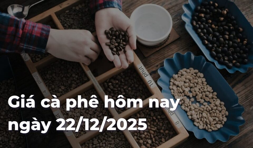 a27ea70a5b6e281eceeda3475046284fMHmw4w