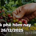 c20f1793ce7a65b4f2855ca7ca6aff89Hed4hb