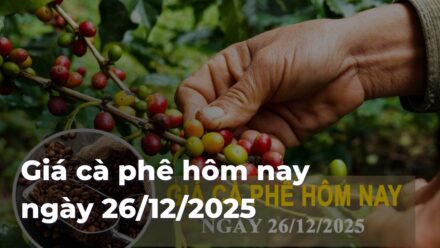 c20f1793ce7a65b4f2855ca7ca6aff89Hed4hb