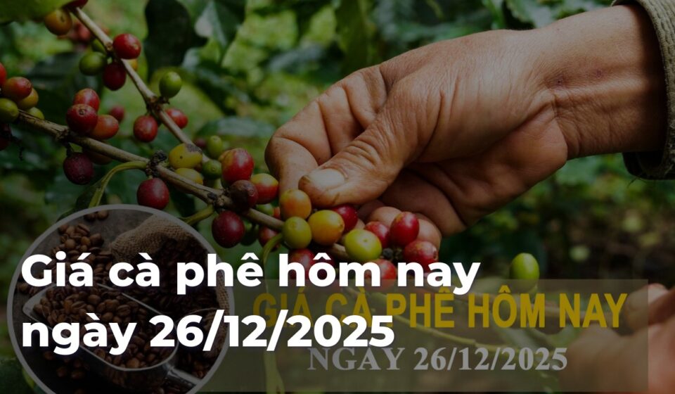 c20f1793ce7a65b4f2855ca7ca6aff89Hed4hb