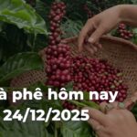 d7e365681327e82d6fdde9a477e69448F1FQ5Z