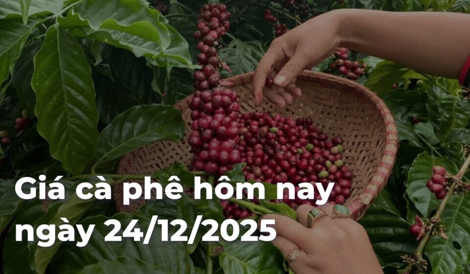 d7e365681327e82d6fdde9a477e69448F1FQ5Z