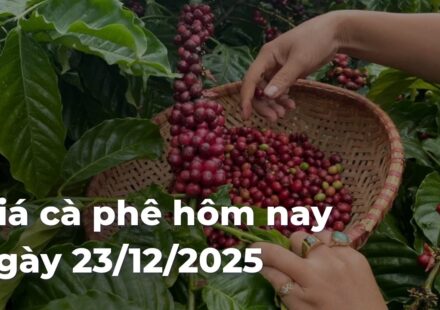 fe6175a93837f23361f70ee07ba6dc13YnU0Zz