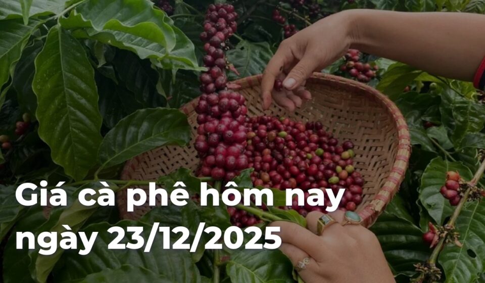 fe6175a93837f23361f70ee07ba6dc13YnU0Zz