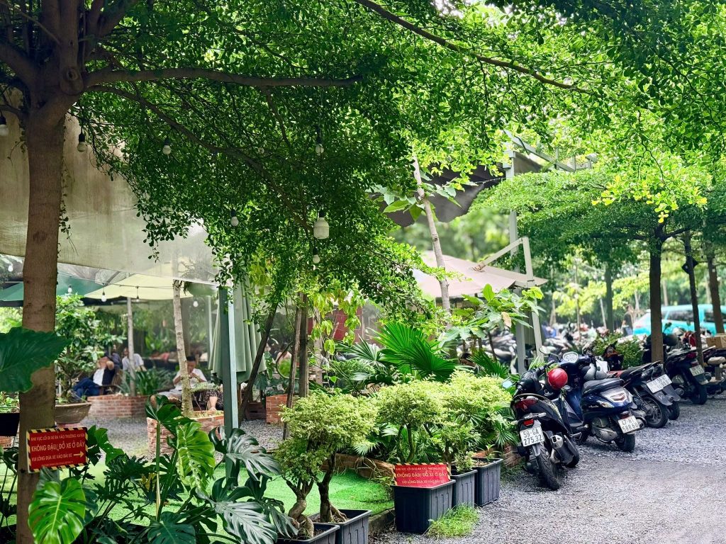 Sân vườn xanh mát
